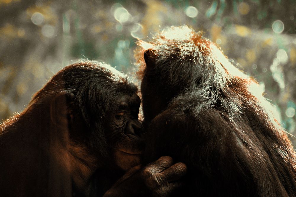An intimate moment