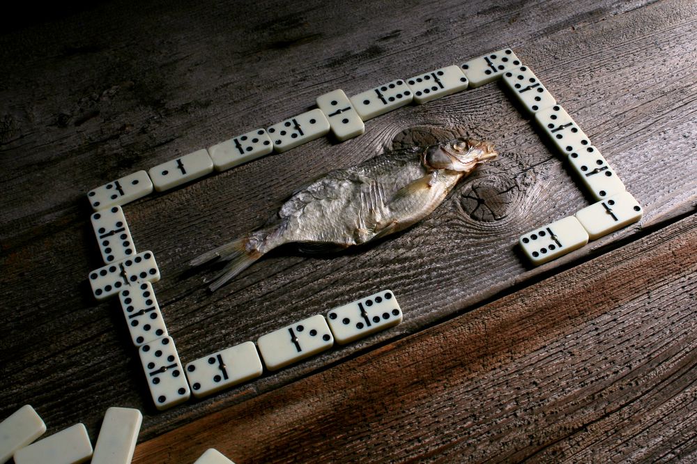 Photograph by Vitaliy Saposhnikov