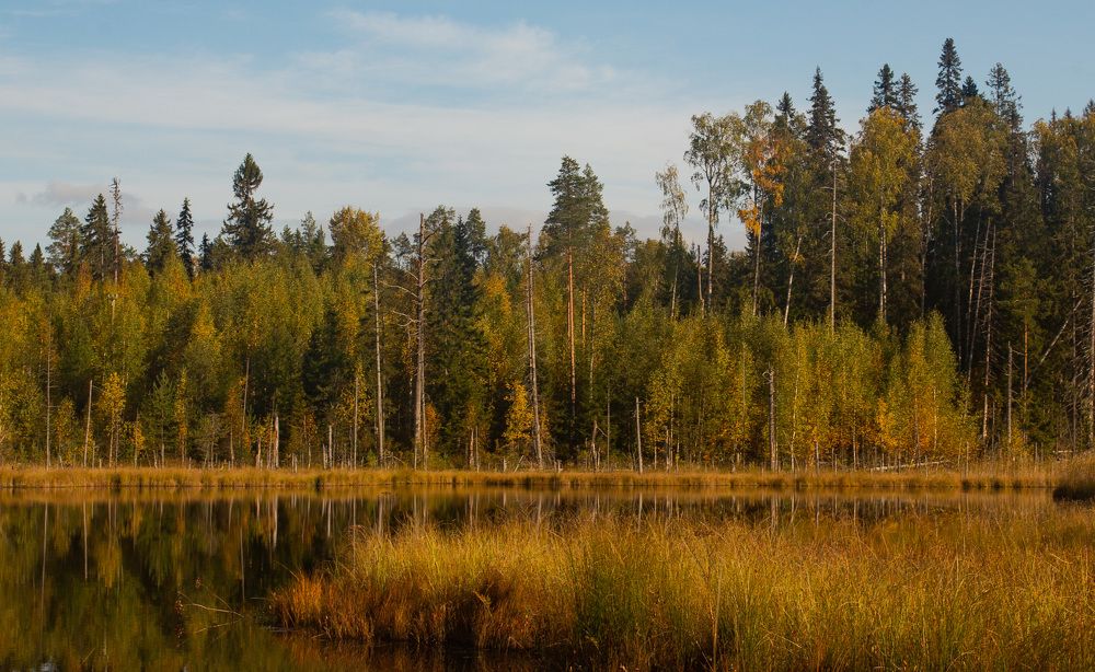 Photograph by Lev Kaufman