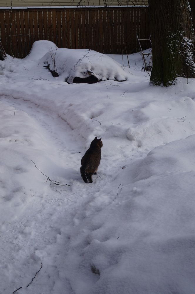 Photograph by Георгий Галкин