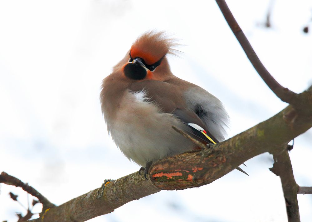 Ну и что, фотограф...