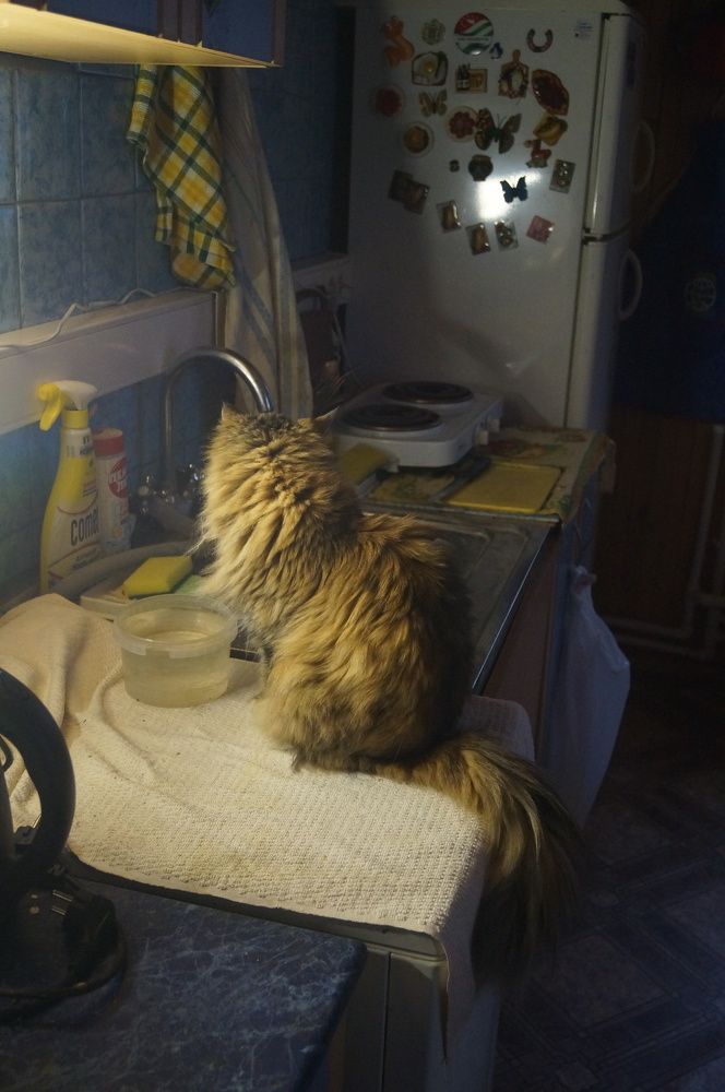 Photograph by Георгий Галкин