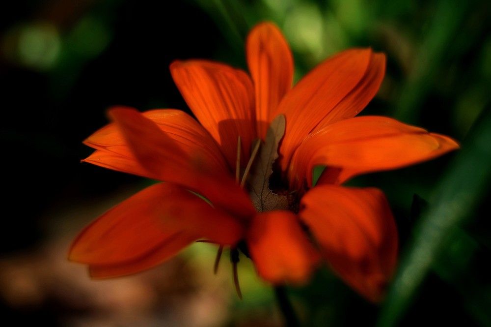 Photograph by Olga Smirnova