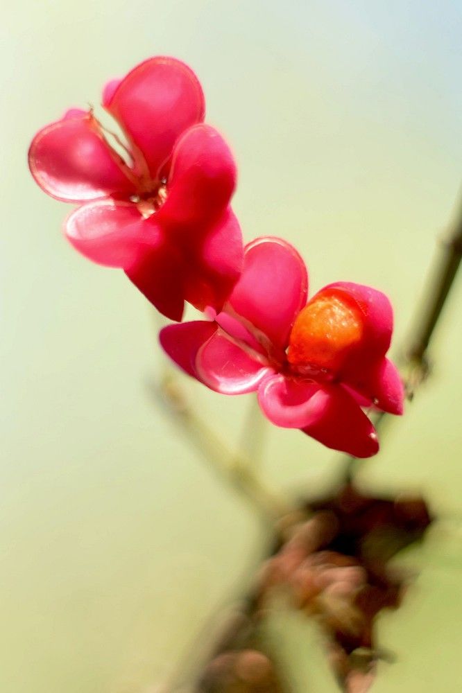 Photograph by Olga Smirnova