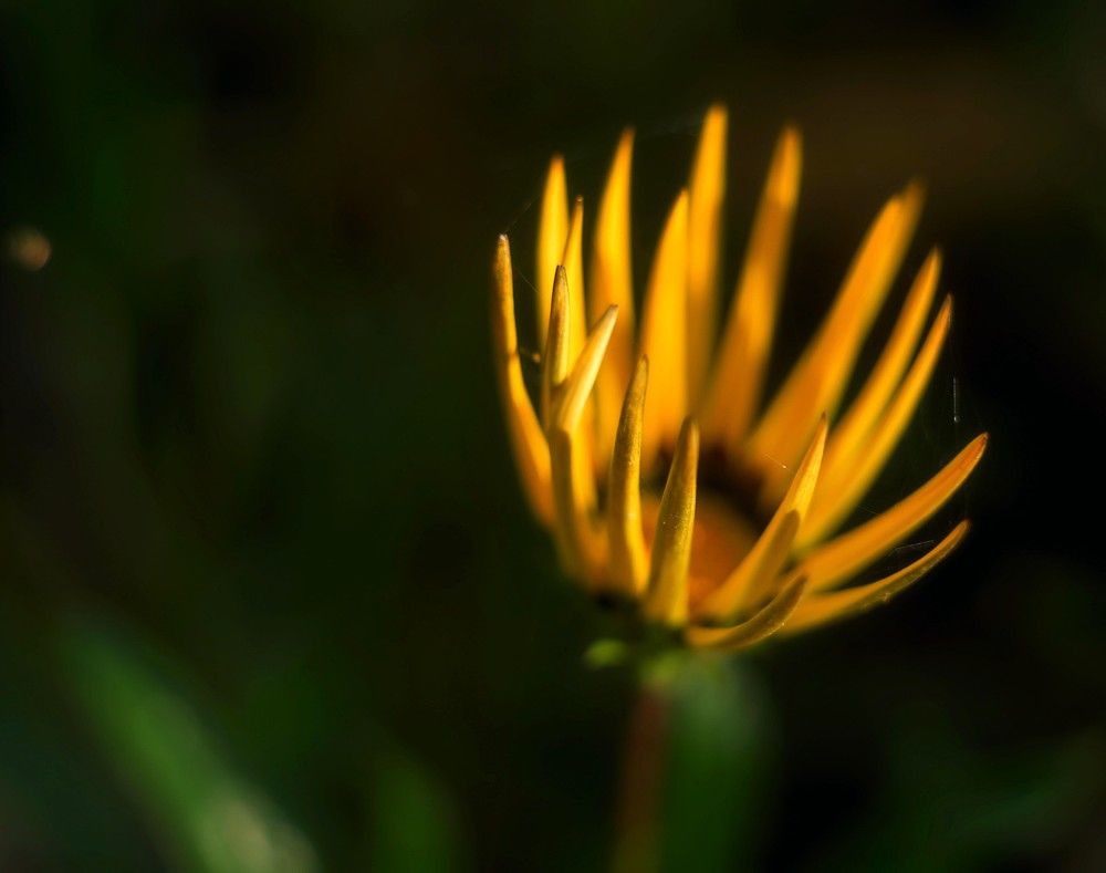 Photograph by Olga Smirnova