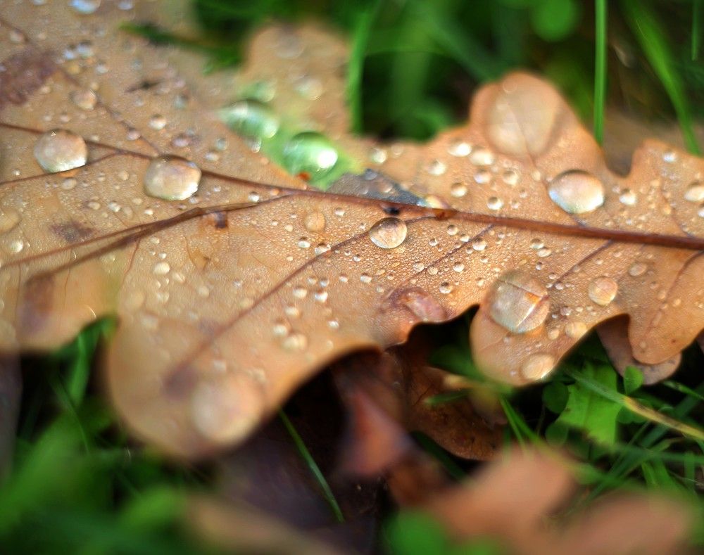 Photograph by Olga Smirnova