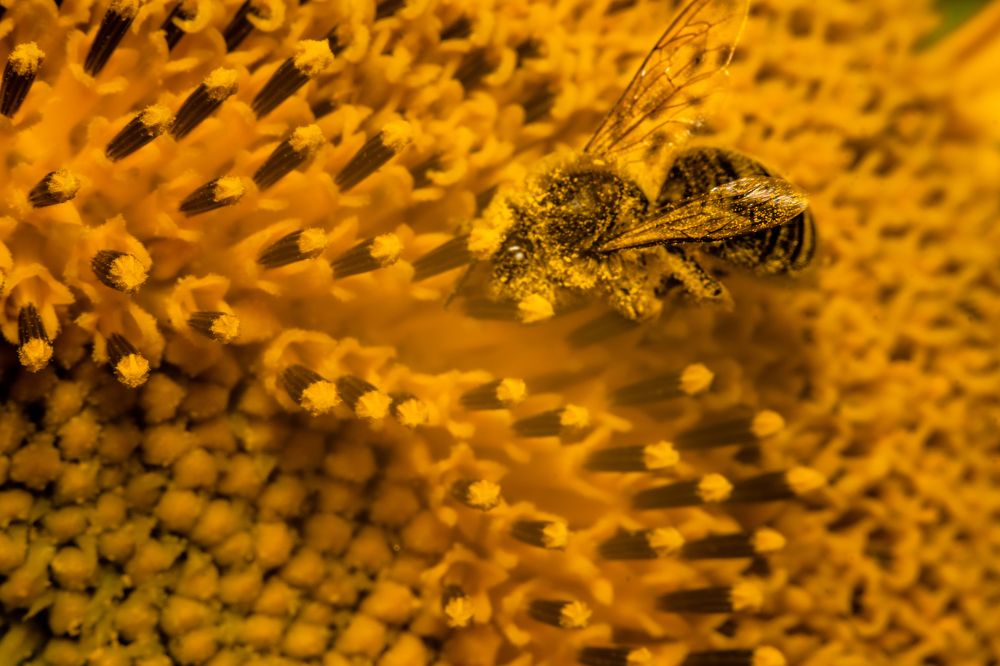 Photograph by Андрей Шишлов