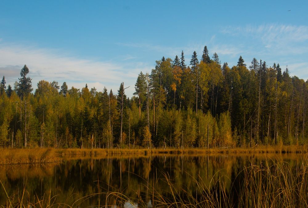 Photograph by Lev Kaufman