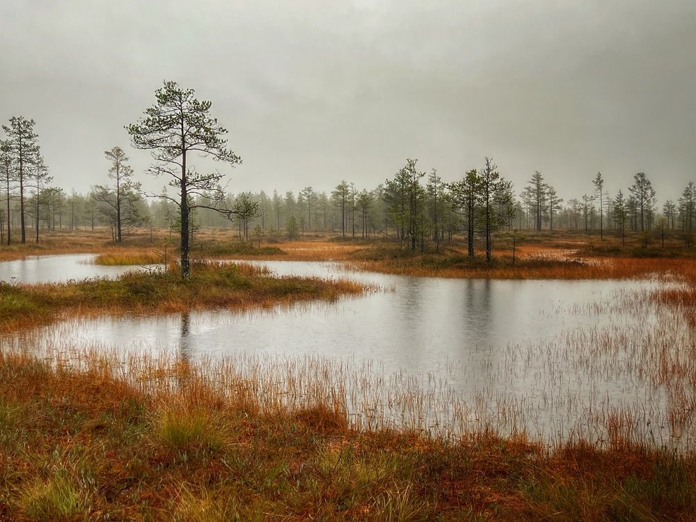 Фотография автора Ольга Белоусова
