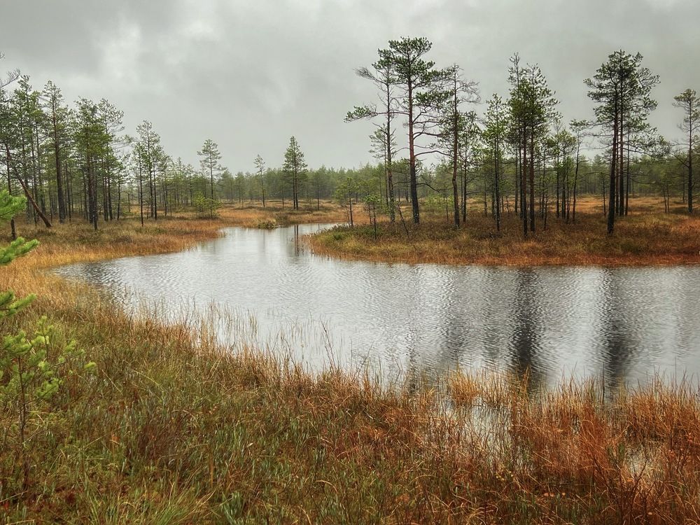 Фотография автора Ольга Белоусова