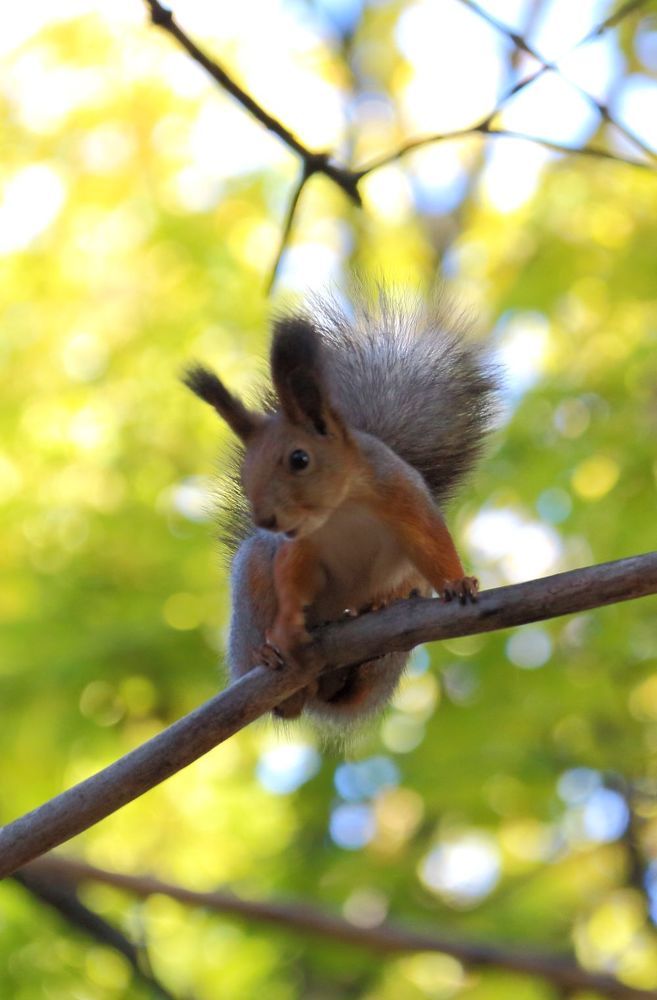 Photograph by Юрий Варюхин