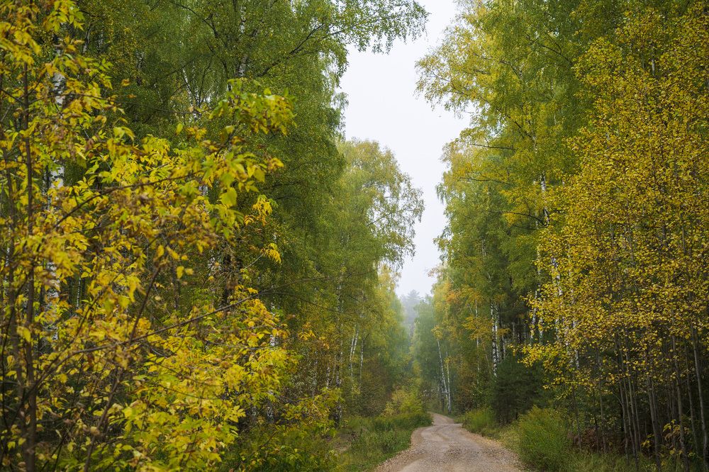 Photograph by косяк