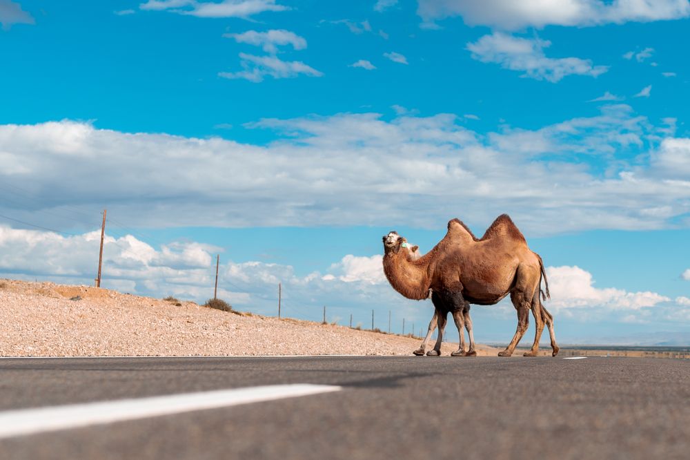 Photograph by Андрей Шишлов