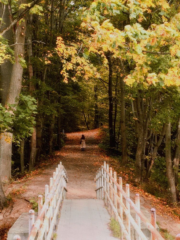 Photograph by Николай Зорин