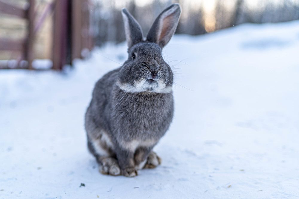 Photograph by Андрей Шишлов