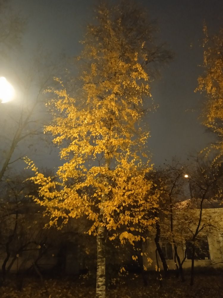 Photograph by Георгий Галкин