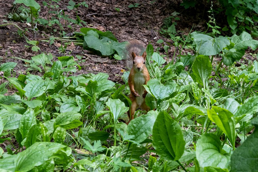 Photograph by Андрей Шишлов