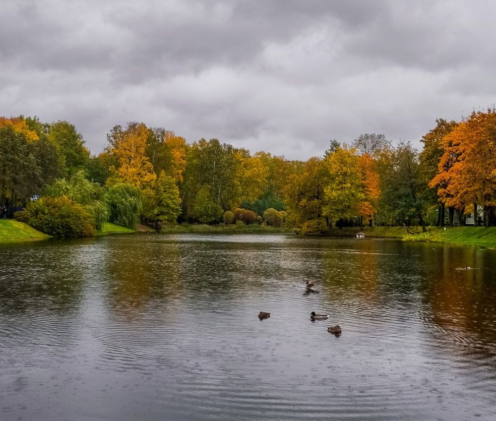 Photograph by Юлия Алексейчикова