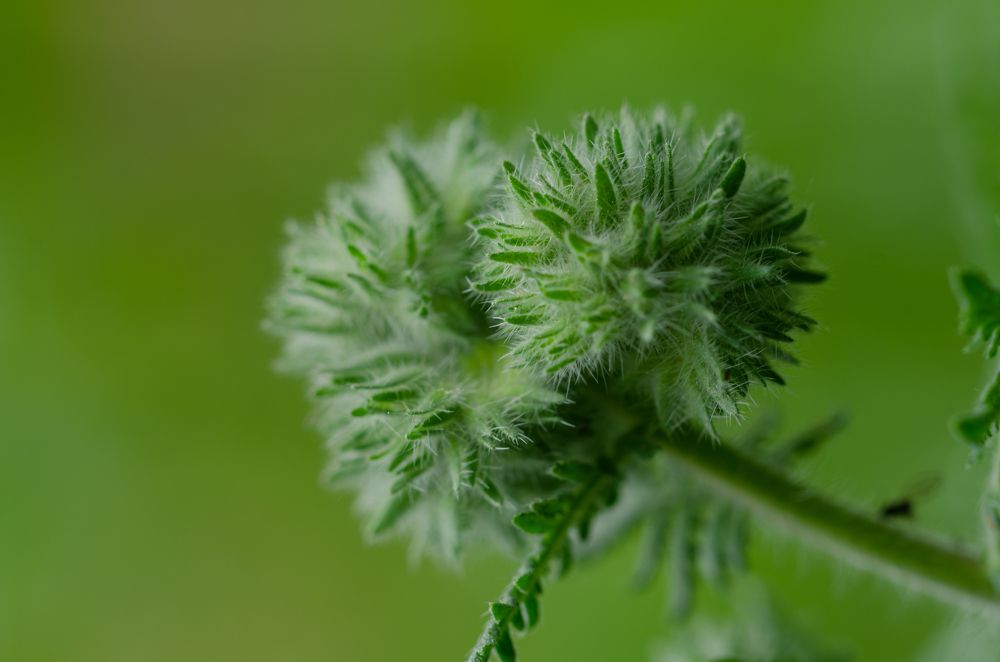 Photograph by Oleg Yashin