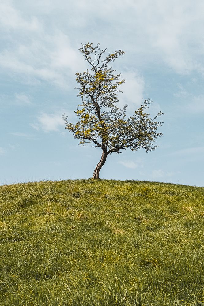 Фотография автора Elliot Voilmy