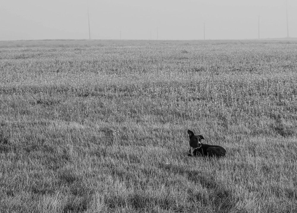 Photograph by Александр Редько