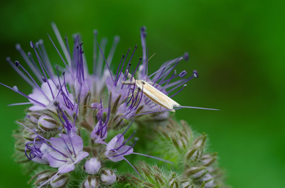 Photograph by Oleg Yashin