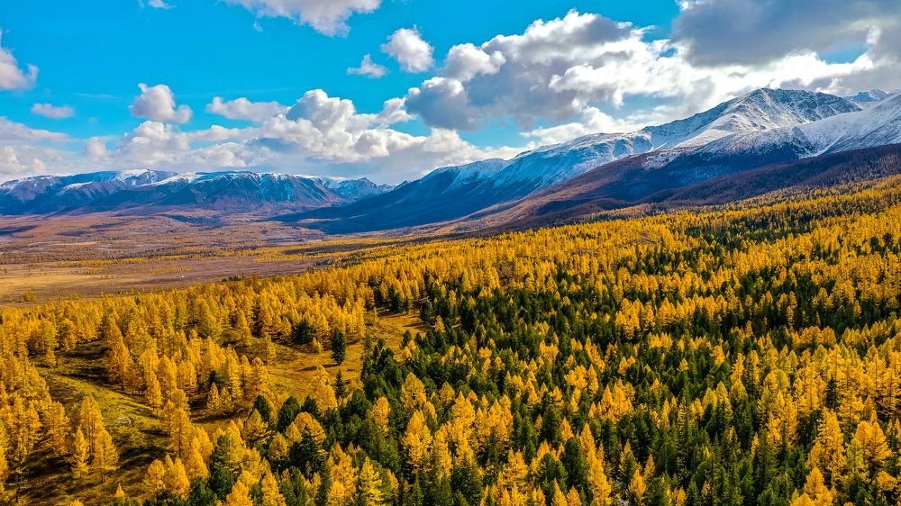 Photograph by Илья Труханов