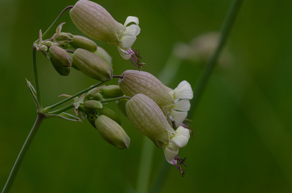 Photograph by Oleg Yashin