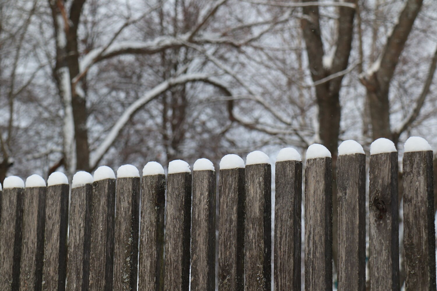 Photo #9682437