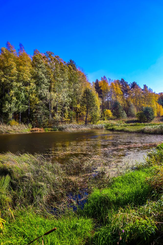 Photograph by Сергей Назаредский