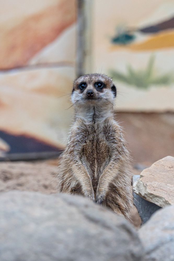 Photograph by Аверина Елена