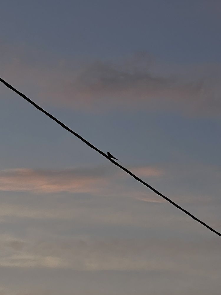 Photograph by Olga Osipova