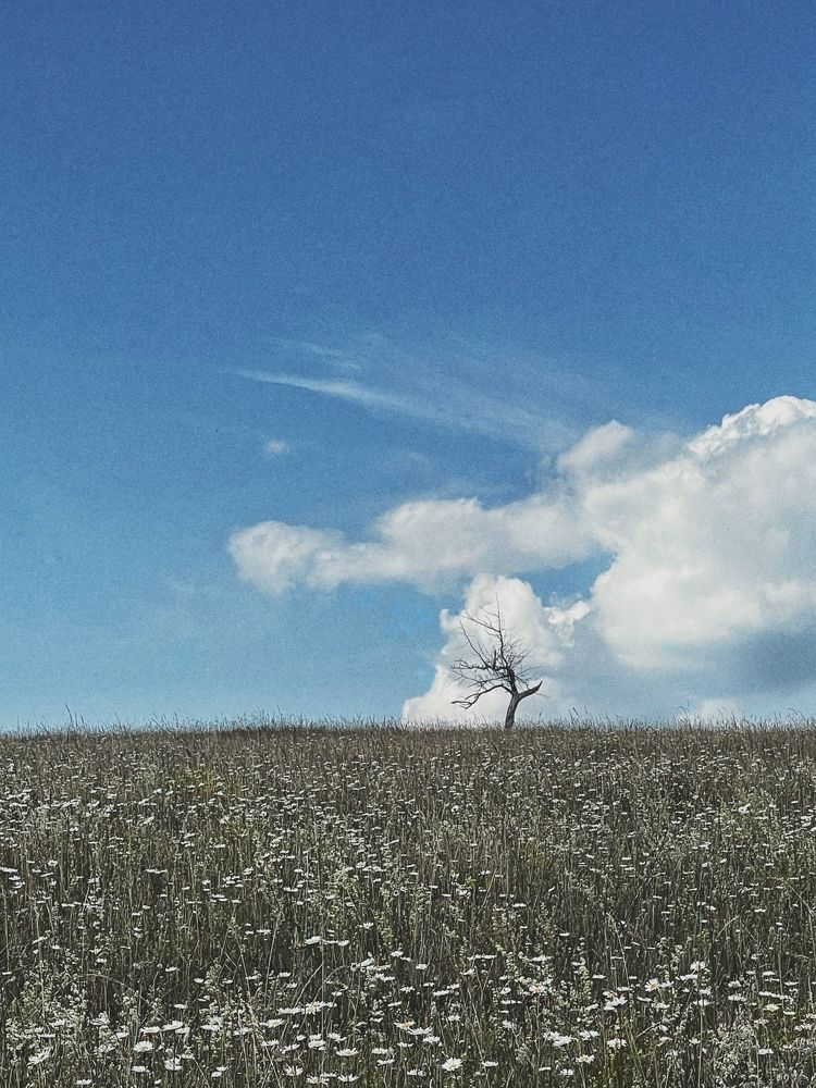 Photograph by Olga Osipova