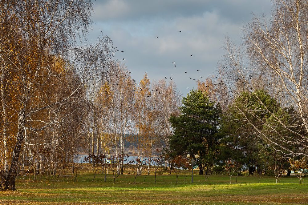 Photograph by Галина Полищук