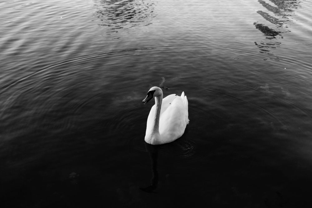 Photograph by Елена Осокина