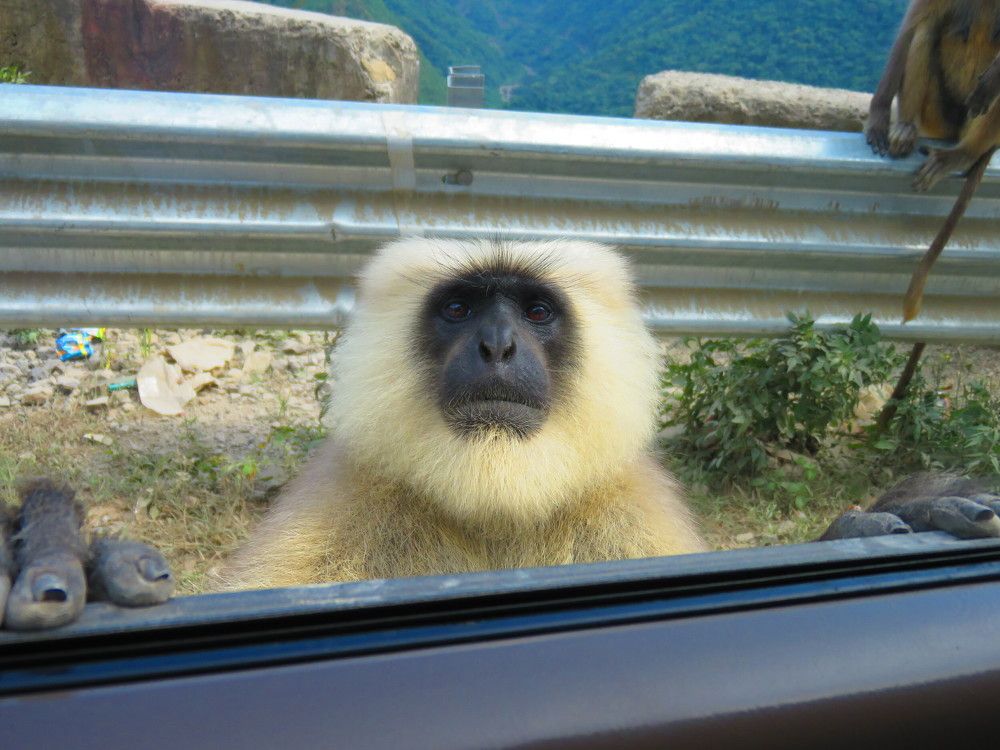 Photograph by ANISH BISWAS