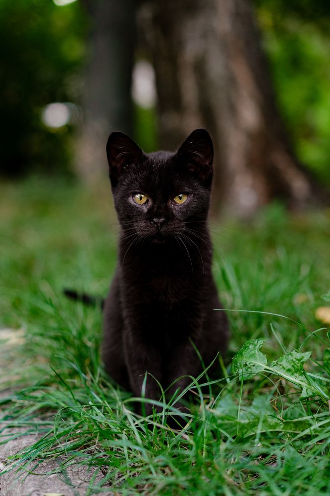 Photograph by Елена Осокина