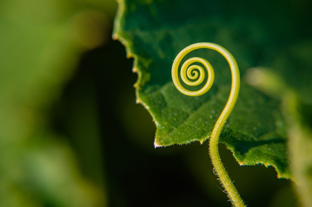 Photograph by Денис Пономарёв