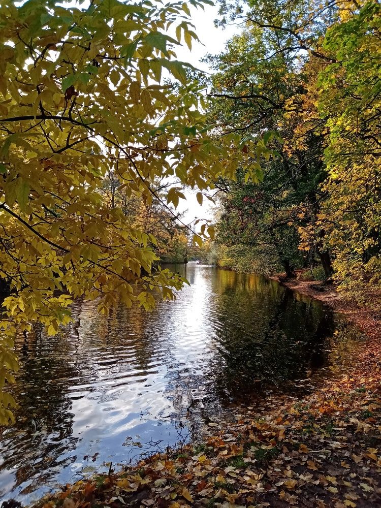 Фотография автора Natalia Khodina