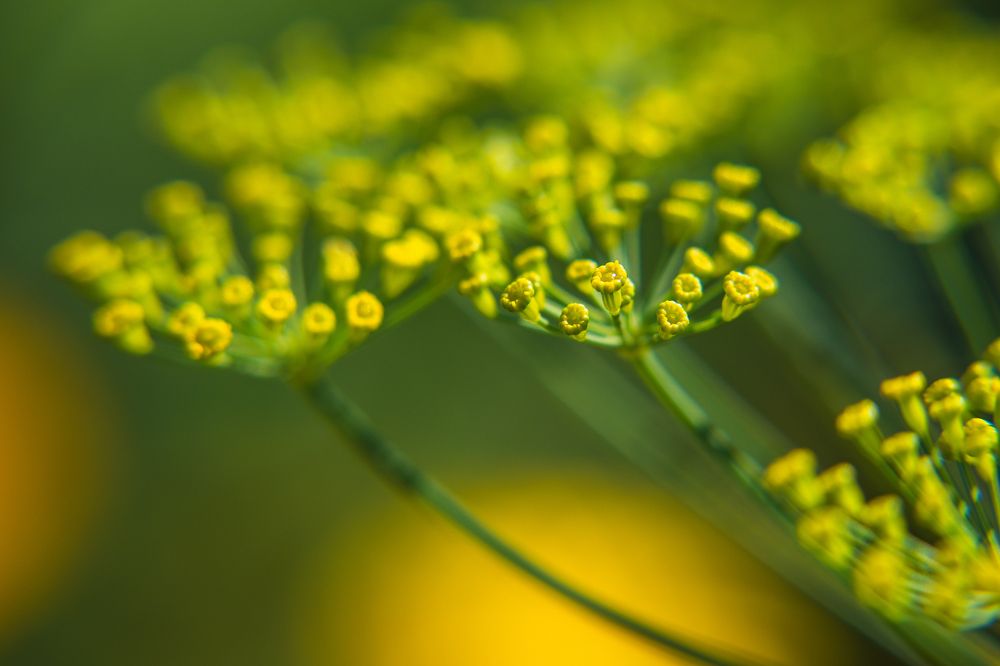 Photograph by Денис Пономарёв