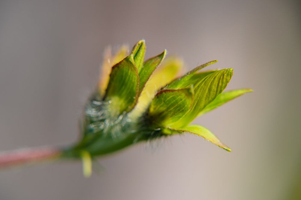 Photograph by Денис Пономарёв