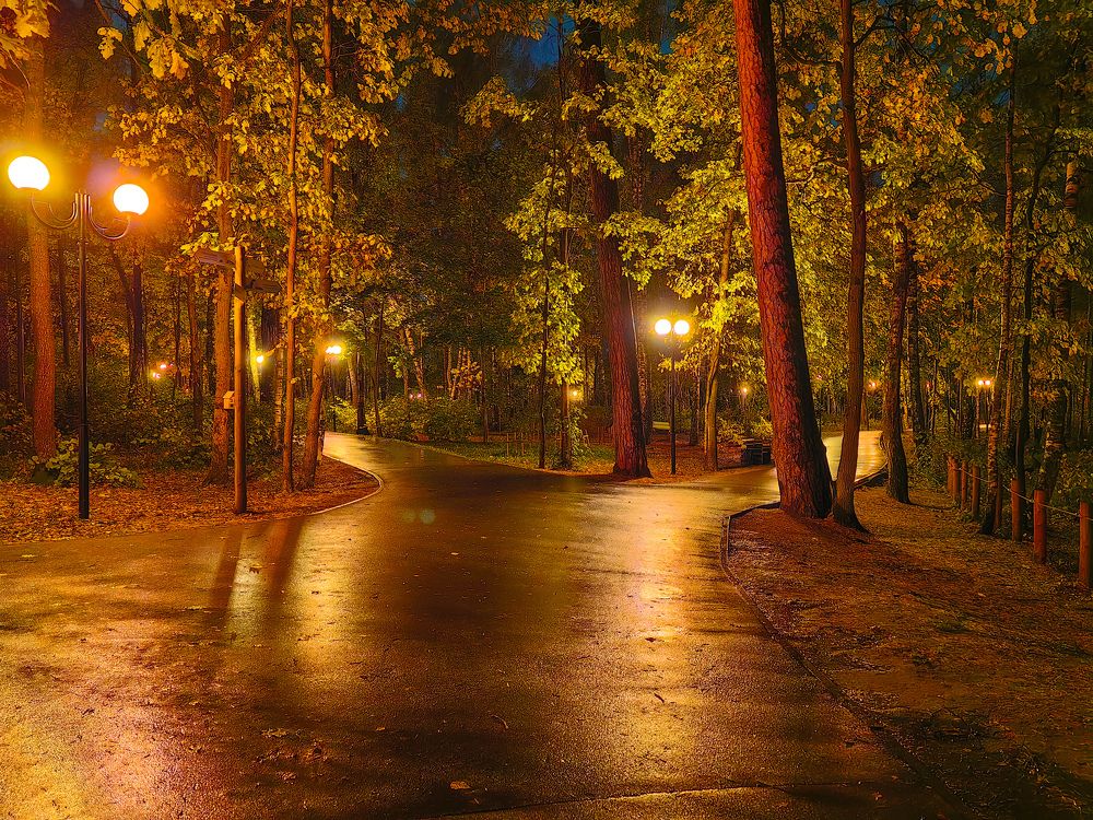 Photograph by Nikolai T