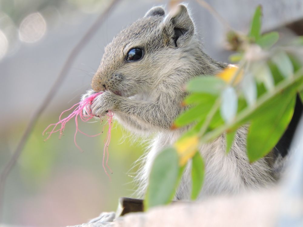 Photograph by Rajan Shah