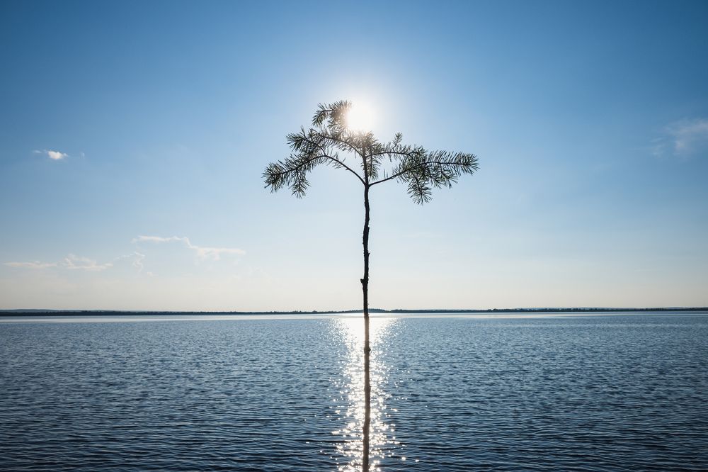 Photograph by Денис Пономарёв