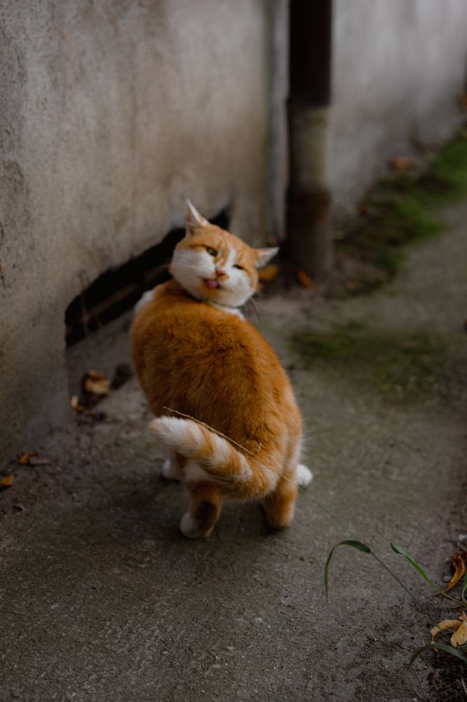 Photograph by Елена Осокина