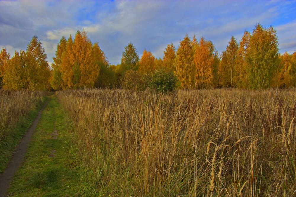 Осенний день.