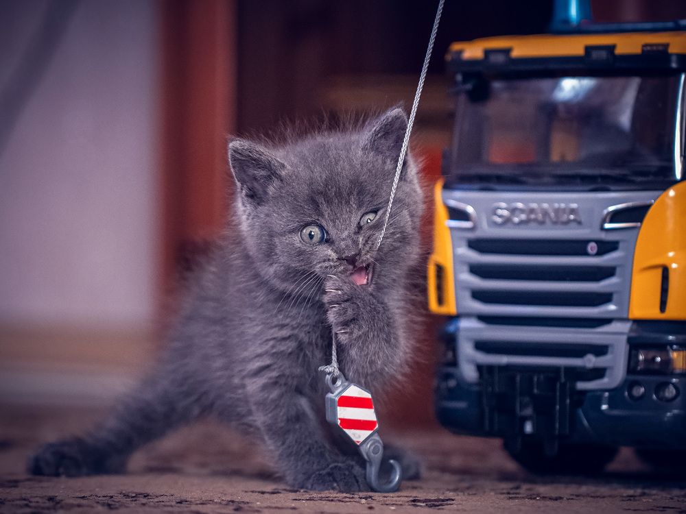 Photograph by Галина Полищук