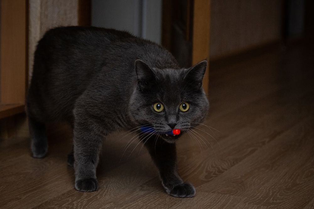 Photograph by Галина Полищук