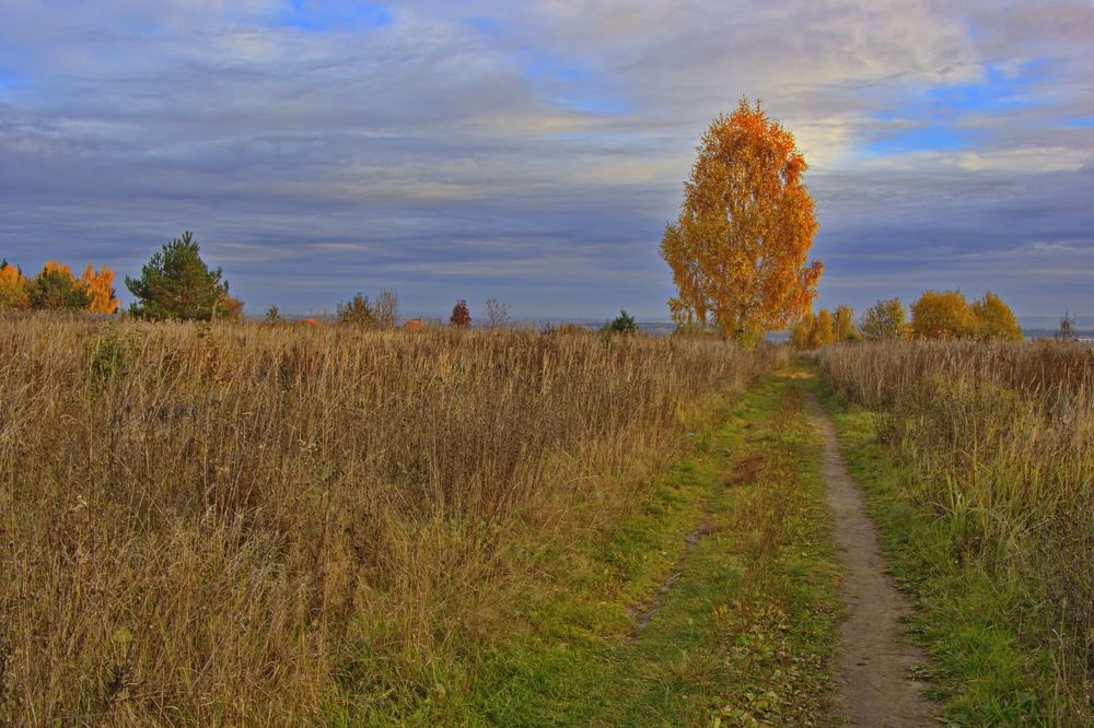 Фотография автора Анатолий Борисов
