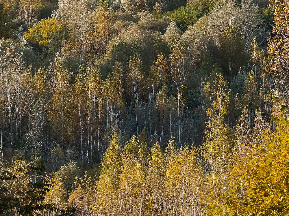 Photograph by Галина Полищук